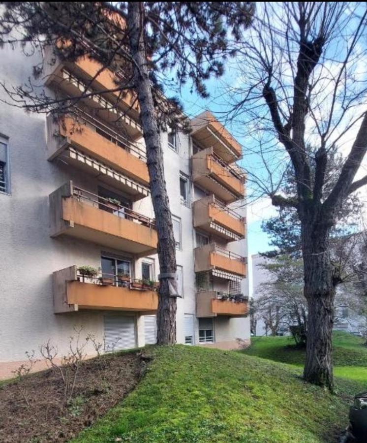 Appartement Chazi à Toulouse Extérieur photo